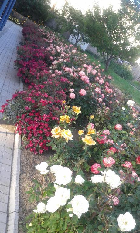 Amir Hotel Karakol Kültér fotó